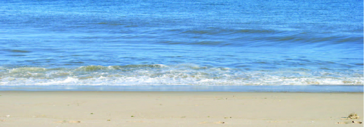 Beachy Vibes
